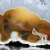 agaty-argentyna-patagonia-puma (9) (Copy).webp