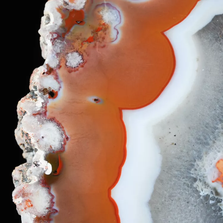 agaty-argentyna-patagonia-puma-agate (28) (Copy).webp