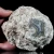 agaty-argentyna-patagonia-puma-agate (41) (Copy).webp