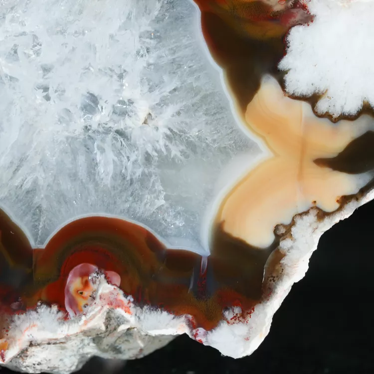 agaty-argentyna-patagonia-puma-agate (47) (Copy).webp