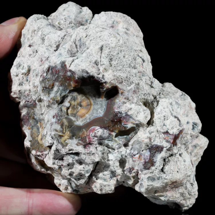 agaty-argentyna-patagonia-puma-agate (48) (Copy).webp