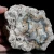 agaty-argentyna-patagonia-puma-agate (53) (Copy).webp