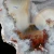 agaty-argentyna-patagonia-puma-agate (56) (Copy).webp