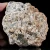 agaty-argentyna-patagonia-puma-agate (57) (Copy).webp