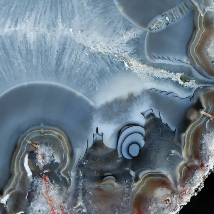 agaty-argentyna-patagonia-puma-agate (58) (Copy).webp