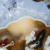 agaty-argentyna-patagonia-puma-agate (63) (Copy).webp