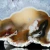 agaty-argentyna-patagonia-puma-agate (65) (Copy).webp
