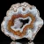 agaty-argentyna-patagonia-puma-agate (67) (Copy).webp