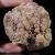agaty-argentyna-patagonia-puma-agate (69) (Copy).webp