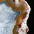 agaty-argentyna-patagonia-puma-agate (78) (Copy).webp