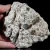 agaty-argentyna-patagonia-puma-agate (80) (Copy).webp