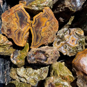 agaty-z-turcji-drzewa-skamieniale-turcja (5) (Copy).webp