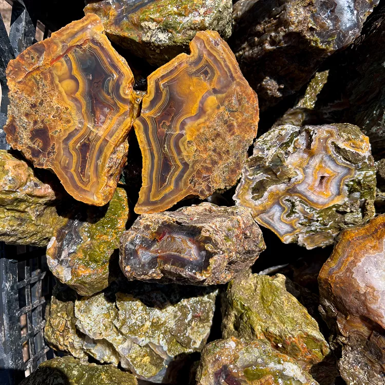 agaty-z-turcji-drzewa-skamieniale-turcja (5) (Copy).webp