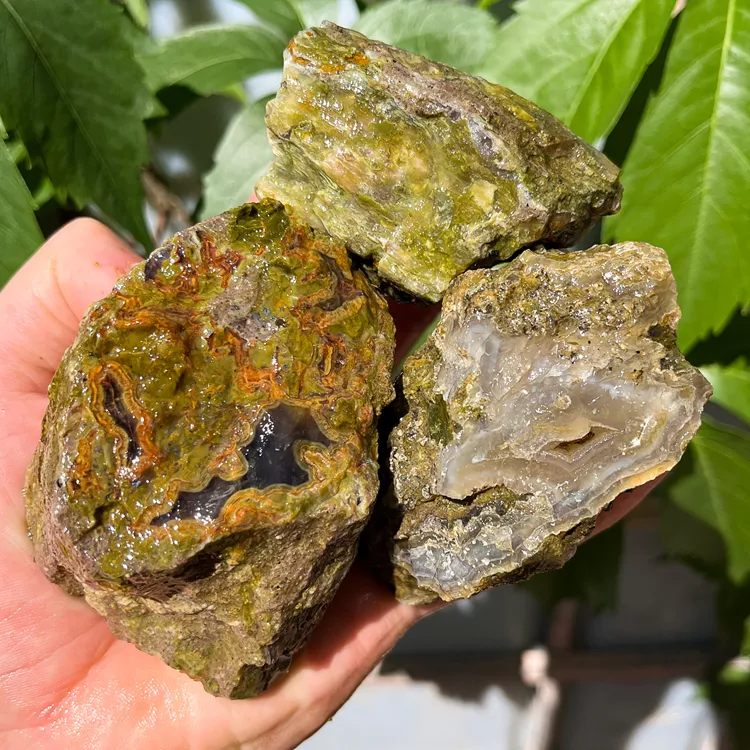 agaty-z-turcji-drzewa-skamieniale-turcja (3) (Copy).webp