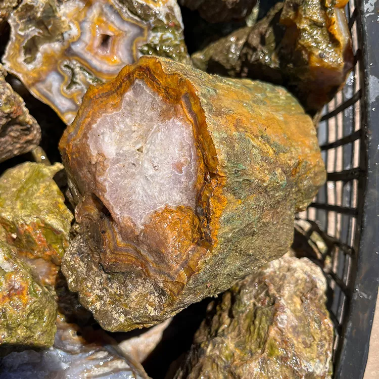 agaty-z-turcji-drzewa-skamieniale-turcja (4) (Copy).webp