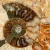 amonit-naturalny-skamielina-sklep (26).webp