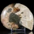 amonit-naturalny-skamielina-sklep (32).webp