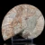 amonit-naturalny-skamielina-sklep (24).webp