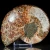 amonit-naturalny-skamielina-sklep (44).webp