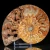 amonit-naturalny-skamielina-sklep (45).webp