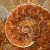 amonit-naturalny-skamielina-sklep (64).webp