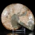 amonit-naturalny-skamielina-sklep (62).webp