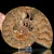 amonit-naturalny-skamielina-sklep (96).webp