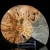 amonit-naturalny-skamielina-sklep (57).webp