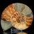 amonit-naturalny-skamielina-sklep (66).webp