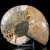 amonit-naturalny-skamielina-sklep (68).webp