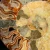 amonit-naturalny-skamielina-sklep (114).webp