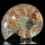 amonit-naturalny-skamielina-sklep (115).webp
