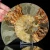 amonit-naturalny-skamielina-sklep (110).webp