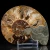 amonit-naturalny-skamielina-sklep (4).webp