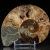 amonit-naturalny-skamielina-sklep (1).webp