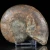 amonit-naturalny-skamielina-sklep (3).webp