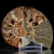 amonit-naturalny-skamielina-sklep (39).webp