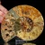 amonit-naturalny-skamielina-sklep (107).webp