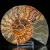 amonit-naturalny-skamielina-sklep (75).webp