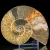 amonit-naturalny-skamielina-sklep (16).webp