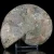 amonit-naturalny-skamielina-sklep (18).webp