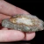 agat-naturalny-kamien-polszlachetny (53) (Copy).webp