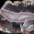 agat-naturalny-kamien-polszlachetny (99) (Copy).webp