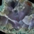 agat-naturalny-kamien-polszlachetny (122) (Copy).webp