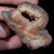 agat-naturalny-kamien-polszlachetny (238) (Copy).webp