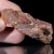 agat-naturalny-kamien-polszlachetny (251) (Copy).webp
