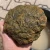 rough-agate-specimen-morocco-kerrouchen (28) (Copy).webp