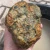 rough-agate-specimen-morocco-kerrouchen (30) (Copy).webp