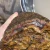 rough-agate-specimen-morocco-kerrouchen (35) (Copy).webp