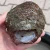 rough-agate-specimen-morocco-kerrouchen (25) (Copy).webp
